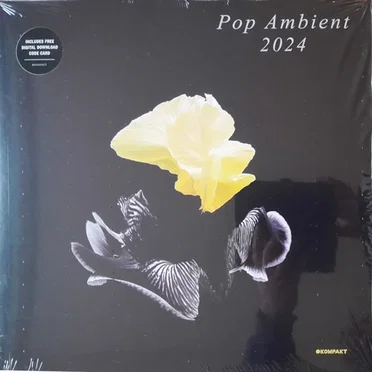 Pop Ambient 2024 by Various Artists - album cover