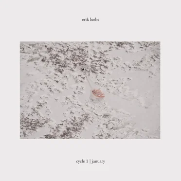 Cycle 1 | January by Erik Luebs - album cover
