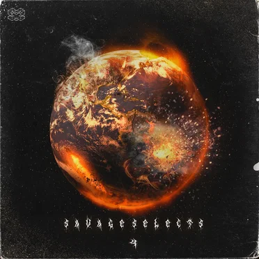 Savage Selects, Vol. 4 by Various Artists - album cover