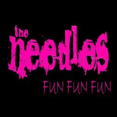 Fun Fun Fun by The Needles - album cover