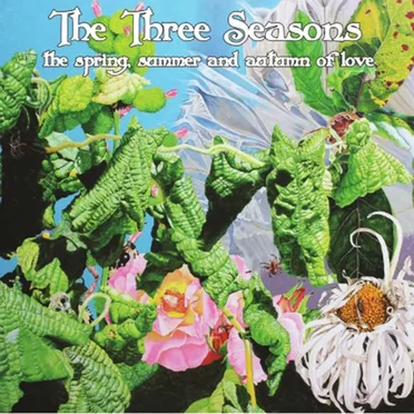 The Three Seasons: The Spring, Summer and Autumn of Love by Various Artists - album cover