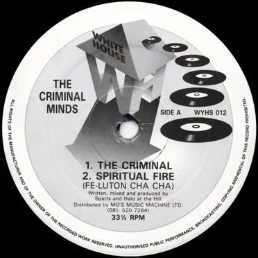 The Criminal by The Criminal Minds - album cover
