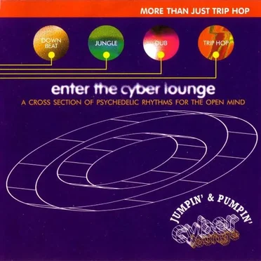 Enter the Cyber Lounge by Various Artists - album cover