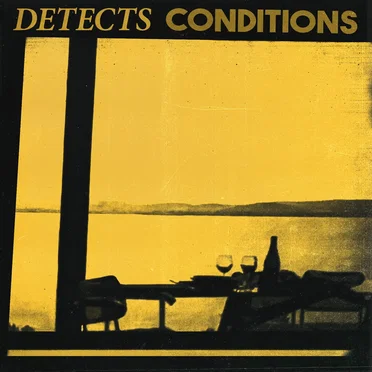 Conditions by Detects - album cover