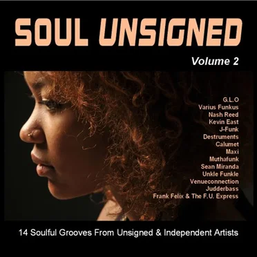 Soul Unsigned, Volume 2 by Various Artists - album cover