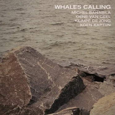 Whales Calling