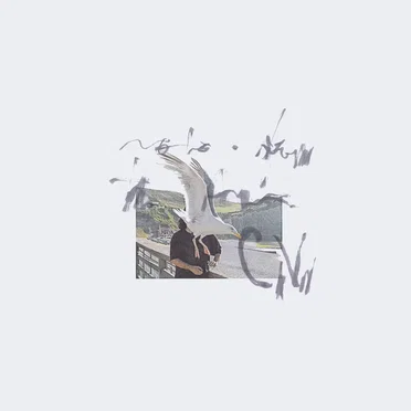 notes from the air by Ciro Vitiello - album cover