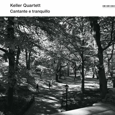 Cantante E Tranquillo