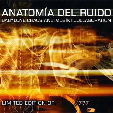 Anatomia del Ruido