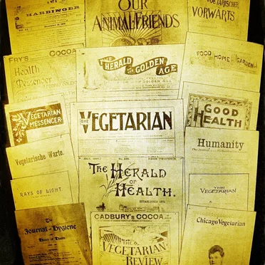 Vegetarianism: The Story So Far #13, “The Vegetarians" by Ian McDonald - album cover