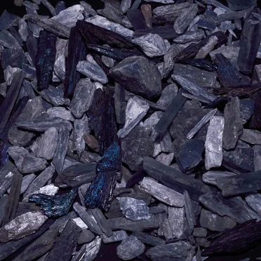 Ramonda Hammer