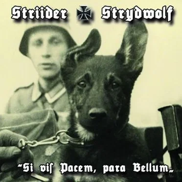 Si Vis Pacem, Para Bellum