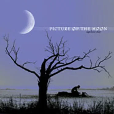 Ageless Day by Picture of the Moon - album cover