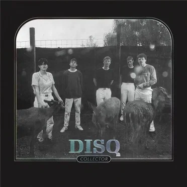 Collector by Disq - album cover