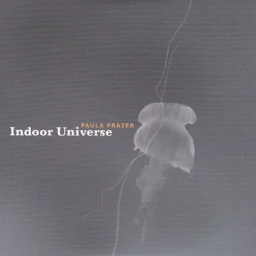 Indoor Universe