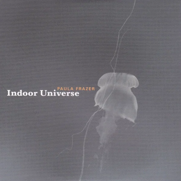 Indoor Universe