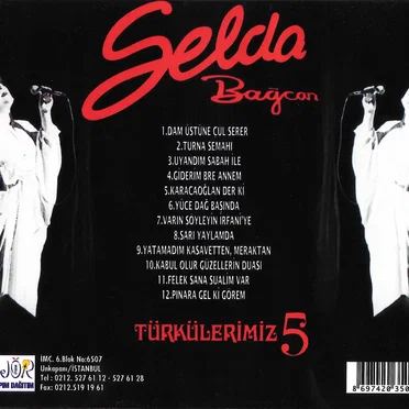 Türkülerimiz 5 - Turna Semahı Dam Üstünde Çul Serer