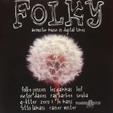 Folky: Acoustic Music in Digital Times by Various Artists - album cover