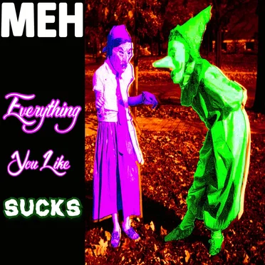 Everything You Like Sucks
