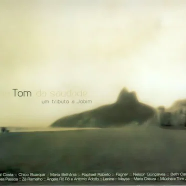 no Tom da saudade: Um tributo a Tom Jobim by Various Artists - album cover