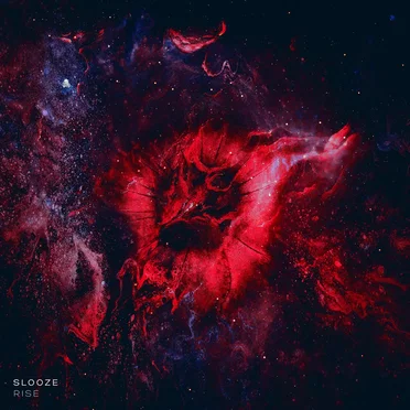 Rise by Slooze - album cover