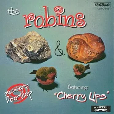 Rock & Roll by The Robins - album cover