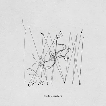 birds / surfers