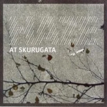 At Skurugata