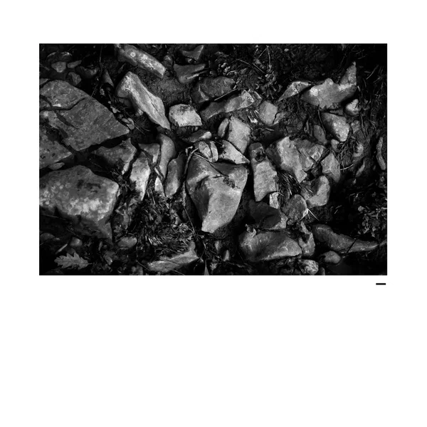 Rhythm Studies 5