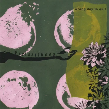Vicissitudes by Wrong Day to Quit - album cover