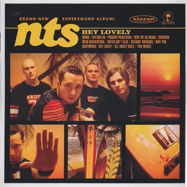Hey Lovely by NTS - album cover