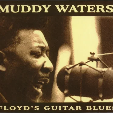 Floyd's Guitar Blues