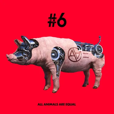 #6