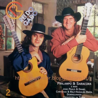 O Rei do Gado, Volume 2 by Various Artists - album cover