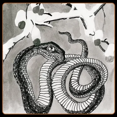 Serpent Umbrella by The Gravel Pit - album cover