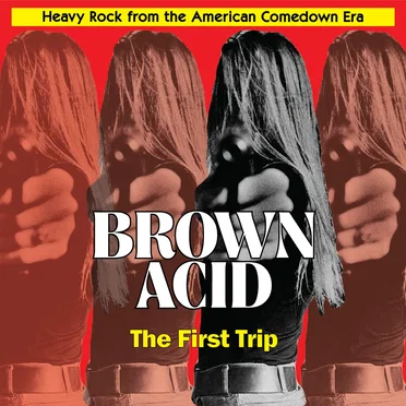 Brown Acid: The First Trip by Various Artists - album cover