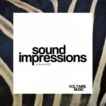 Sound Impressions Volume 40 by Various Artists - album cover
