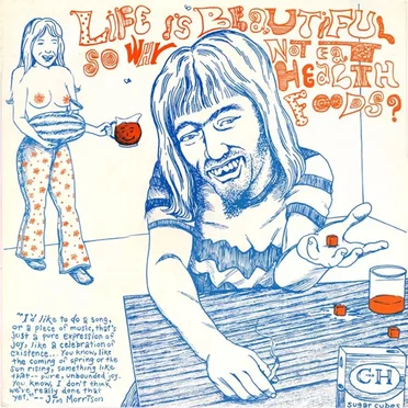 Life Is Beautiful So Why Not Eat Health Foods? by Various Artists - album cover