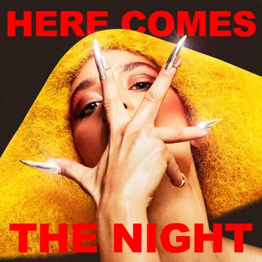 Here Comes the Night