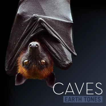 Caves by Earth Tones - album cover
