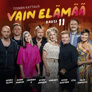 Vain elämää: Kausi 11, toinen kattaus by Various Artists - album cover