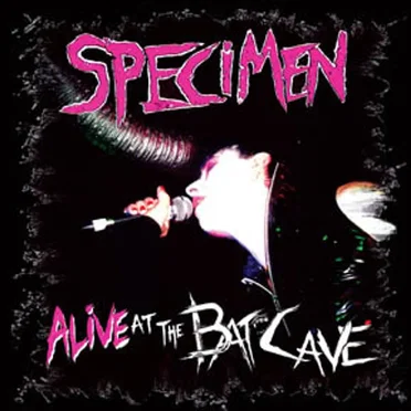 Alive at the Batcave