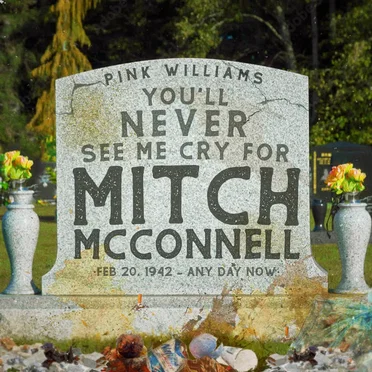 You'll Never See Me Cry For Mitch McConnell