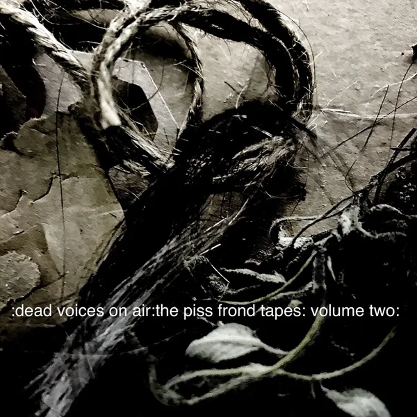 The Piss Frond Tapes Volume Two