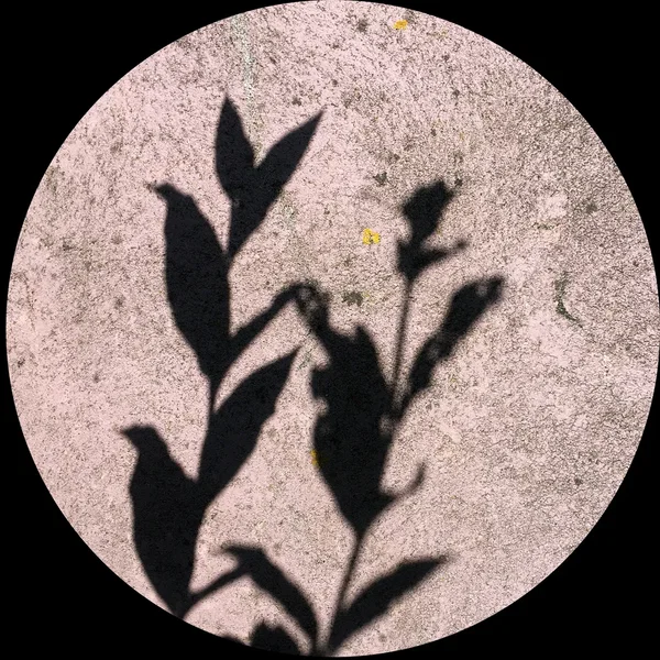 MOA053