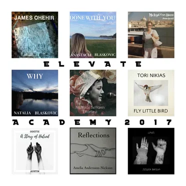 Elevate Academy 2017 by Elevate Music Academy - album cover