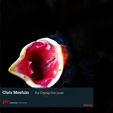 For Crying Out Loud by Chris Meehan - album cover