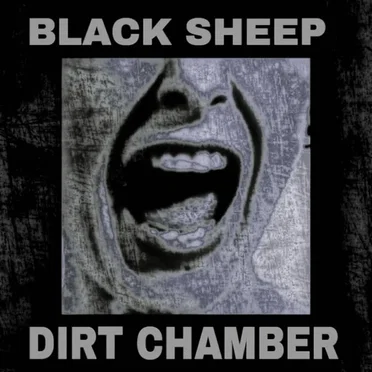 Black Sheep / Dirt Chamber