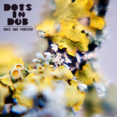 Once and Forever by Dots in Dub - album cover