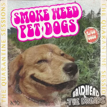 Smoke Weed Pet Dogs [Quarantine Sessions]